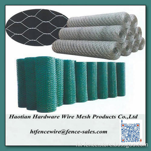 1/4 inch Hot dipped galvanized hexagonal wire mesh